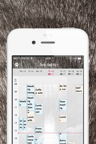 LOLCat Calendar screenshot 3