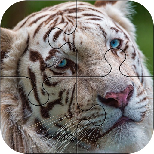 Kitty Cat Jigsaw Puzzles Book iOS App