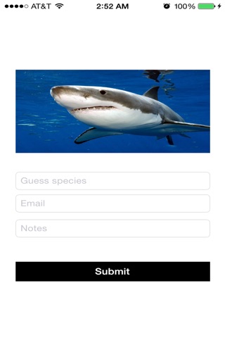 SharkPulse v2.0 screenshot 2