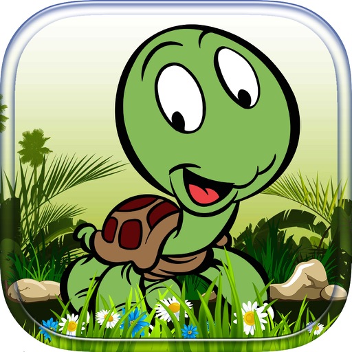 Sea Turtles - Learn to Fly iOS App