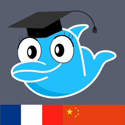 Learn Chinese and French Vocabulary: Memorize Chinese Words icon