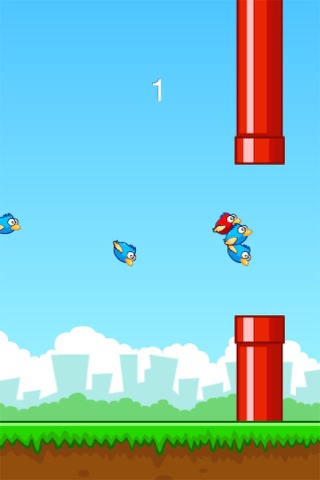 Fly Smash - Birds fly, No Ads screenshot 3