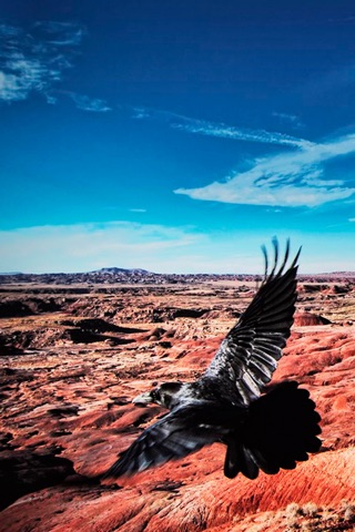 Petrified Forest National Park wallpapers screenshot 4