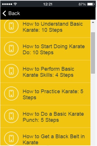 Karate Techniques - Learn Basic Karate Moves Easily screenshot 2