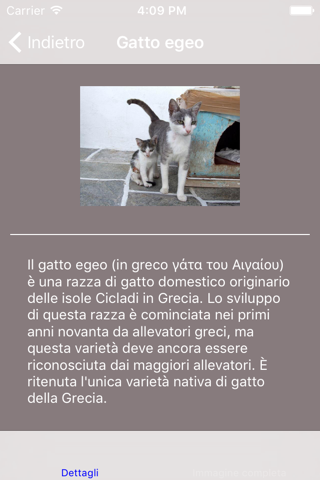 Encyclopaedia of Kittens by Breed - with Cute Pics screenshot 2