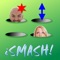 Remember the smash machine in the amusement parks and fair grounds