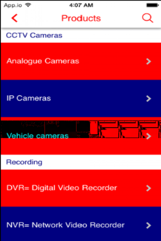 Access cctv screenshot 2