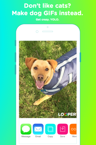 Looper — Super GIF Camera screenshot 3