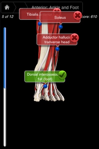 Muscle System Pro III - iPhone screenshot 3