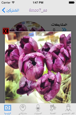 Multaqa - ملتقى screenshot 2