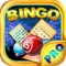 Bingo Like PRO - Play Online Casino and Number Card Game for FREE !