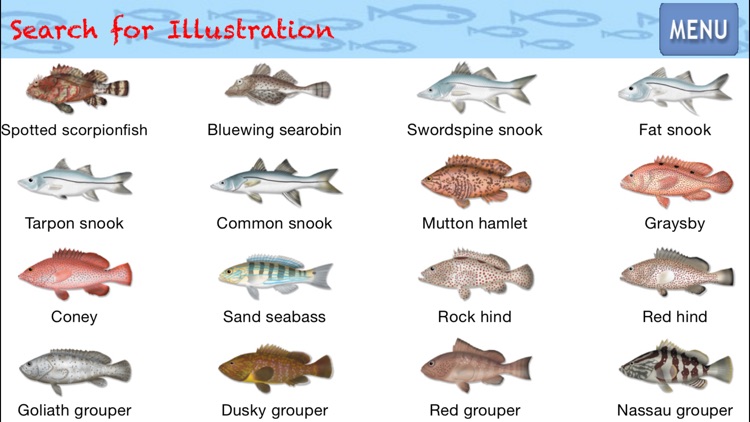 Marine Fishes - Identification Guide
