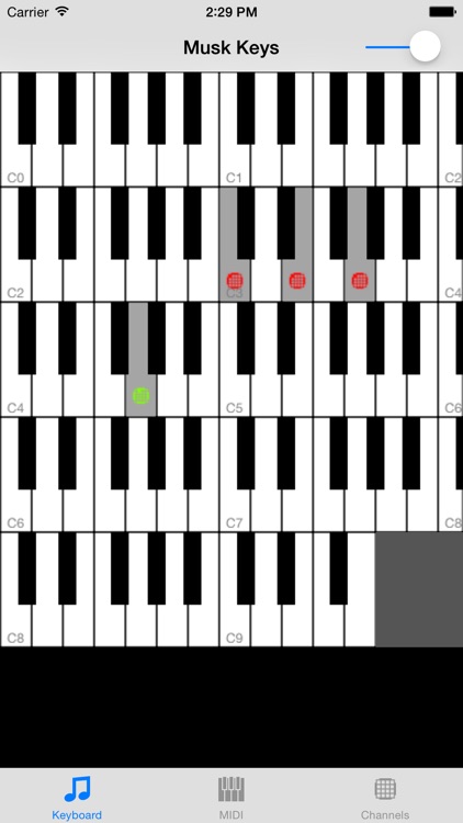 Musk MIDI Keyboard screenshot-0