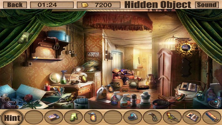 hidden Objects ville