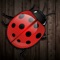 Ladybug Solitaire