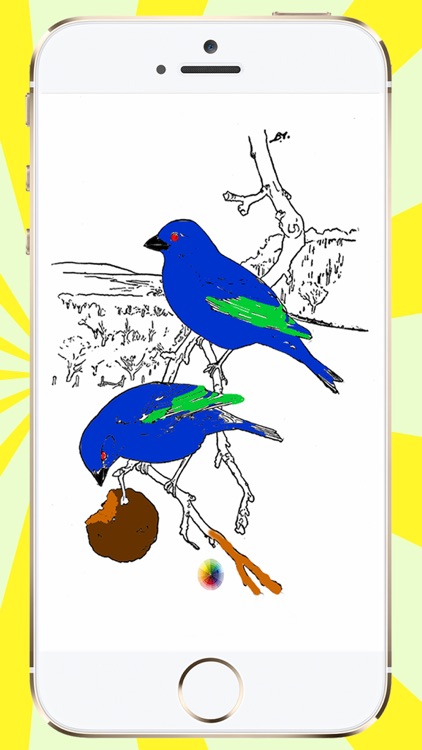 Coloring Book Birds screenshot-3