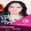 Ghazal Punjabi Volume 2