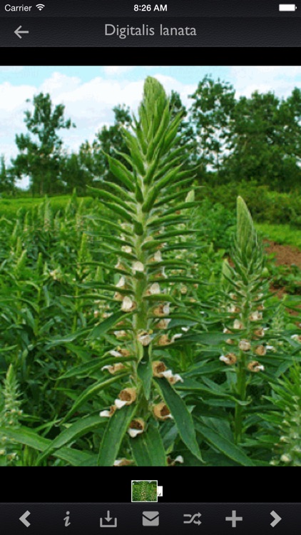 Medicinal Plants Encyclopedia Pro