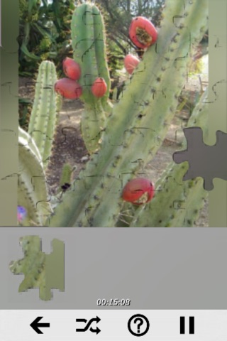Fruits - Best Puzzles screenshot 2