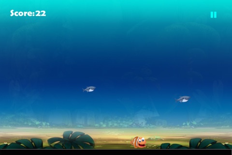Amazing Shark Escape - The Cute Nemo Adventure Game screenshot 2