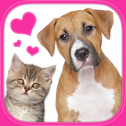 Animal Love: Doggies & Kitties - Logic Game for Toddlers, Preschool Kids, Little Boys and Girls