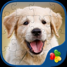 Activities of Dog Puzzles - Jigsaw Puzzle Game for Kids with Real Pictures of Cute Puppies and Dogs