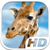 Giraffe Simulator HD Animal Life