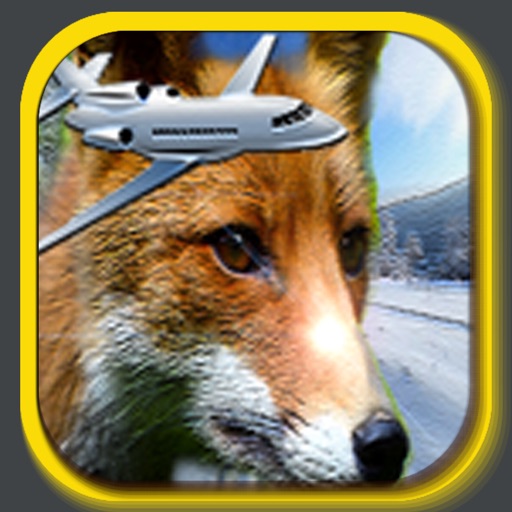 Pilot Fox icon
