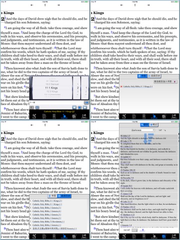 圣经(天主教)(简体中英对照)HD screenshot 2