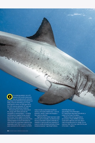 Sport Diver Magazine Archive screenshot 3