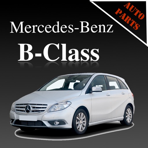 Autoparts Mercedes-Benz B-class icon