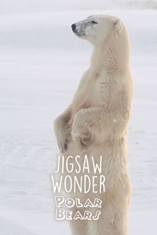 Jigsaw Wonder Polar Bears for Kids screenshot 3