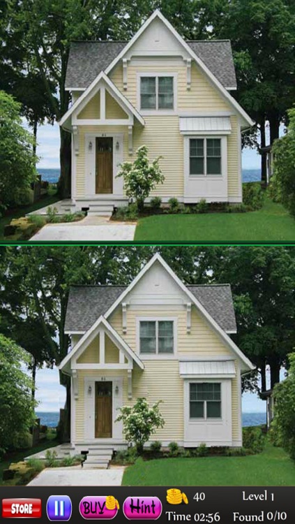 Spot The Differences in Modern Houses