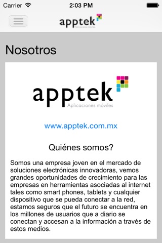 apptek screenshot 3