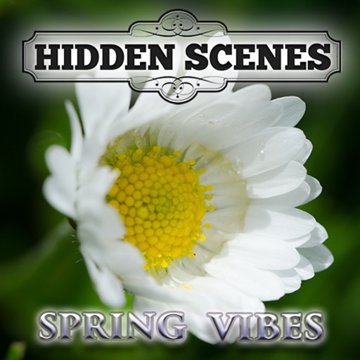 Hidden Scenes - Spring Vibes iOS App