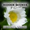 Hidden Scenes - Spring Vibes