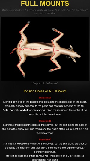 Skinning with Life-form Taxidermy(圖2)-速報App