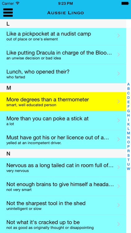 Aussie Lingo Audio Companion - (Australian Slang Dictionary with Audio Examples)