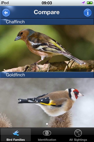 Bird Id - British Isles birds screenshot 3