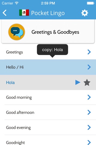 Spanish Latin Pocket Lingo - for trips to Mexico screenshot 3