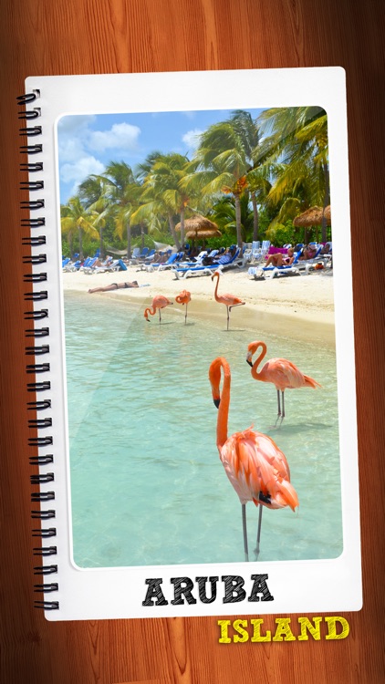 Aruba Island Travel Guide