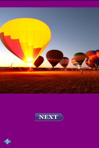 New Smyrna Balloon and Skyfest screenshot 3