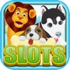 Slot Machines Big Paradise Vacation Saga - Win Casino Slots Pyramid Solitaire Free