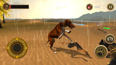 Bird Dog Chase Simulator screenshot 2