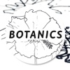 Botanics: Drawing ~ Art Lessons for children and guides for Teaching Artists and Parents