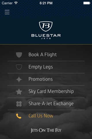 Blue Star Jets screenshot 3