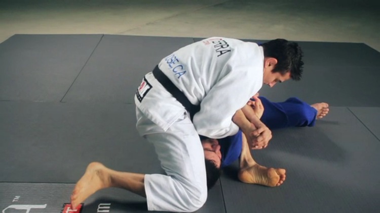 Brazilian Jiu-Jitsu: Mount