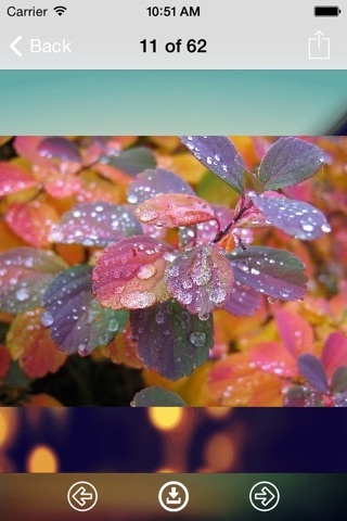 Rain Drops Wallpaper: Best HD Wallpapers screenshot 3