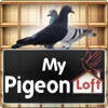 My Pigeon Loft Cloud Edition