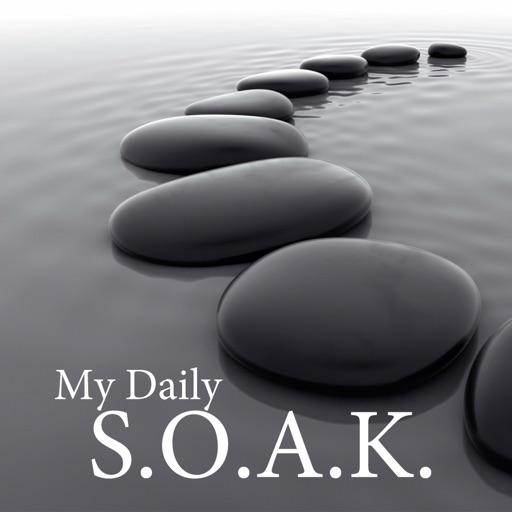 My Daily S.O.A.K.